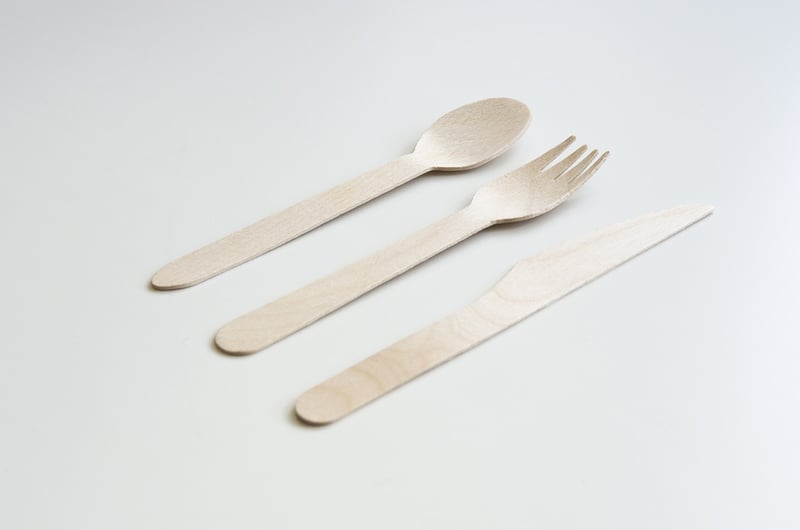 Biodegradable Art